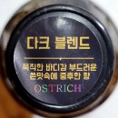 블렌드팩토리 이미지
