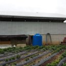 금성태양광발전소 이미지