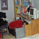 육단 1리 이미지