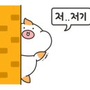남동97 이미지