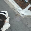 구로-고척-구로-2018 | [UJAT 36기] JA Korea 대학생 경제교육봉사단 ujat 서울구일초등학교 활동 후기