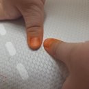 봉숭아꽃물 | 봉숭아 물 들이는 방법 재료 시간 준비물 총정리