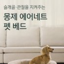 안심베드