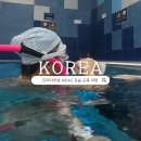 [07/01] 사진촬영 초급 과정(기초 사진 배우기) | 물공포증 극복 안양 용인 ADIA2 프리다이빙 2레벨 강습 교육 과정