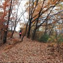 초안산 세대공감공원 이미지