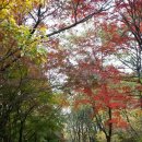 단풍이 아름다운 가을산행 이미지