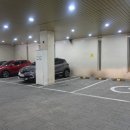 지니스 내동점 이미지