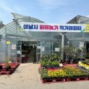 하나로마트 성남점 앞 성남시화훼농가 직거래장터 방문 후기