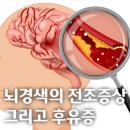MEDI FLOWER 147 이미지