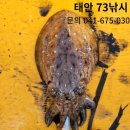 어복충전소