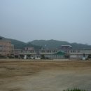 흥업초등학교 Daum카페