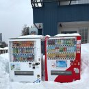 자작나무공방 - 거제시 아주로10길 8 | 일본 삿포로_3월에도 눈 가득했던 비에이투어) 마이재팬 비에이 버스투어 내돈내산 후기