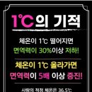 스무살에머물다당진읍내