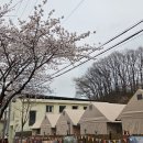 대전 야구장 근처 맛집 고기는야외빨 솔직후기