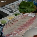 땅콩수산 이미지