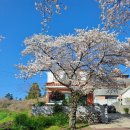 중문 골드빌라스 대가족숙소 펜션 이미지