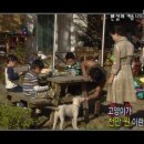 해피타임 Daum카페
