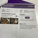 베스트항맥외과의원 이미지