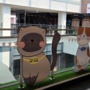 명품고양이카페 이미지