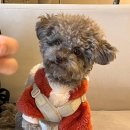 서진동물병원 이미지