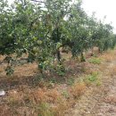 뉴한길공인중개사사무소 이미지