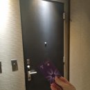 청양총포사 | 나들이 양평 가볼만한곳 포토존 현대블룸비스타 두물머리 연핫도그 실제 맛후기 사진찍기 좋은 힐하우스