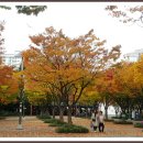 시계탑 광장 이미지