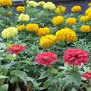 김성수농장 이미지