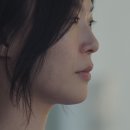 홍이 노컷뉴스