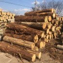 (주)영일우드 이미지