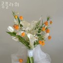 콩플라워