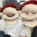 루씨루씨애견유치원 이미지