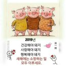 잘돼지 이미지
