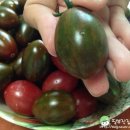 흑토랑농장 이미지