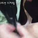 시뉴시스템