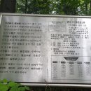 수림약품 이미지