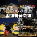 별이와콩이 | 2026 김제 벚꽃축제 초대가수 볼거리, 먹거리 총정리 (1일차 솔직 후기)