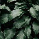 텐즈경희한의원 이미지