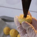 펫푸드스쿨 이미지