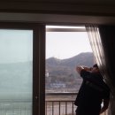 남매방충망 이미지
