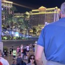 욜로호텔 이미지