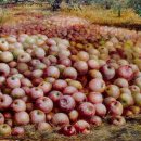 우리 두 그리다 이미지