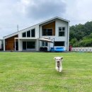 관진로 | 경기도애견펜션 까사 드 215 지난여름 반려견과 함께했던 행복했던 여행 후기 ^^