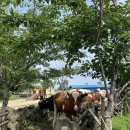 가율목장 이미지