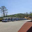 포천아도니스 C.C 이미지