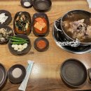 토종옻닭9995
