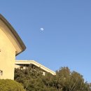 삼호세탁 | 이태원 경리단길 에어비엔비 레프트하우스 후기