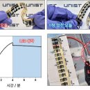 [2025 DAILY PICK 제196호] '체온으로 LED 켜는 혁신적 필름 발전기 개발' 등 이미지
