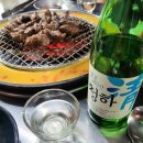 마포갈매기 이미지
