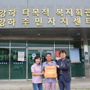 선도 위키트리